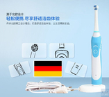 TB-1029 rechargable auto-timer toothbrush BLYL Brand Electric toothbrush, 2 minutes timer