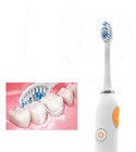 Sonic Waterproof Tooth Whitening Electric Toothbrush With Brush Head Replacement Teeth Whitener Cleaning Oral Hygiene