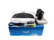 For Dual Persons Detox Foot Spa Machine Ion Cleanse Foot Spa Device ionic detox foot spa with FIR belt foot Relaxation