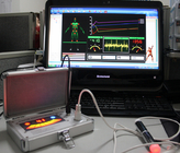 AH - Q8 German Quantum Magnetic Health Analyser , Portable Body Composition Analyzer