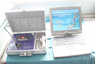 Malaysia Version Quantum Magnetic Resonance Health Analyzer AH-Q10