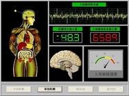 Spanish 34 Reports Quantum Magnetic Resonance Health Analyzer AH-Q1