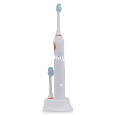 BLYL 48000/Min Ultrasonic Waterproof Rechargeable Electric Toothbrush with 4 Heads Oral Hygiene Dental Care for Adults