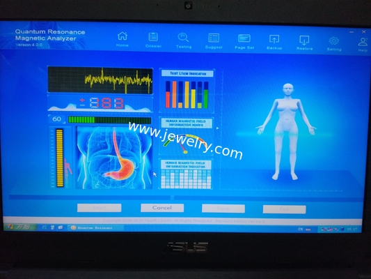 10 Kinds Languge 4th Generation Quantum Analyzer 44 reports Quantum Middle Size Resonance Magnetic Body Health AH-Q43