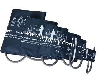 Fas ship 24 Hours Ambulatory NIBP ABPM Holter Electronic NIBP Blood Pressure Holter Pulse Rate Ambulatory Blood Pressure