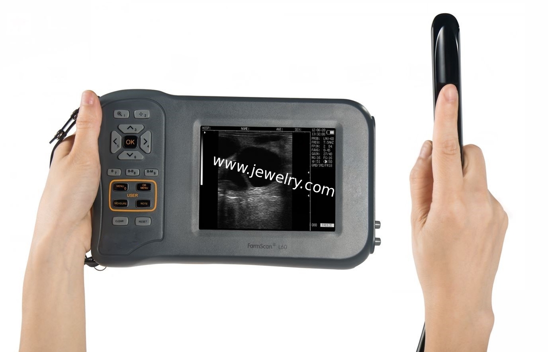 Portable Mini Full Digital B/W Ultrasound System L-60 for Veterinary Diagnostic Animal B Ultrasound for Cows Mares